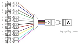 docx_d34ee0cb910786b9ac3c51c4ae3aa5bd